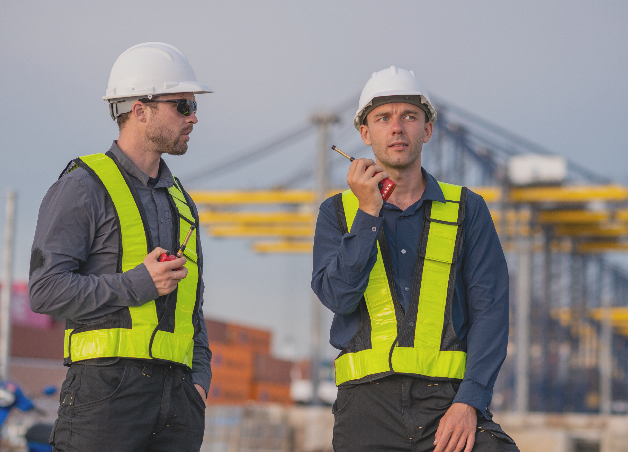 supplier management compliance-01