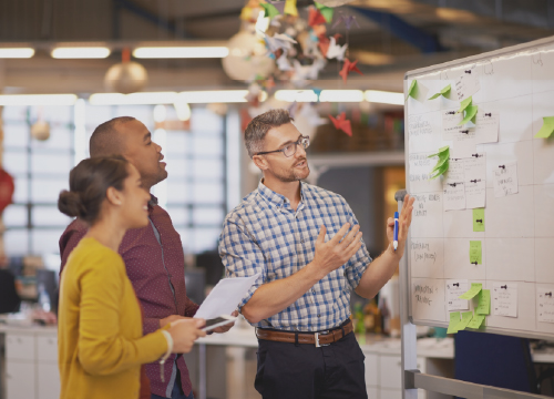 website-certification-assistant-management