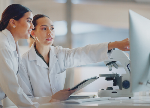 website-sam-automated-workflows